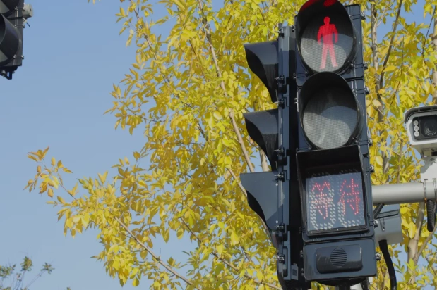 Пластикалық корпусы бар FAMA дыбыстық жаяу жүргіншілер сигналдары қараша айында сатылған 7500 бірлікке жетеді, 1000-нан астам қиылыстарда орналастырылды. Пластикалық корпусы бар FAMA дыбыстық жаяу жүргіншілер сигналдары қараша айында сатылған 7500 бірлікке жетеді, 1000-нан астам қиылыстарда орналастырылды.